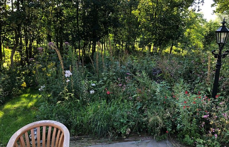 Bloemenrijke omgeving van Vakantiehuisje in Cuijk, Noordoost Brabant, Noord Brabant.