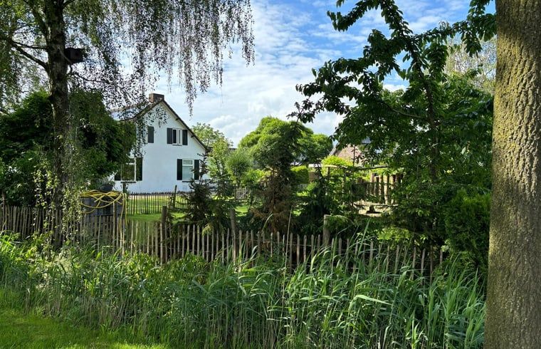 Cottage in Gemert, Ferienhaus in Nordost-Brabant, mit natuerlicher Einfriedung und ueppigem Garten.