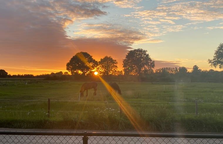 Verblijf 433305 - Vakantiewoning Noordoost Brabant - Huisje in Nistelrode