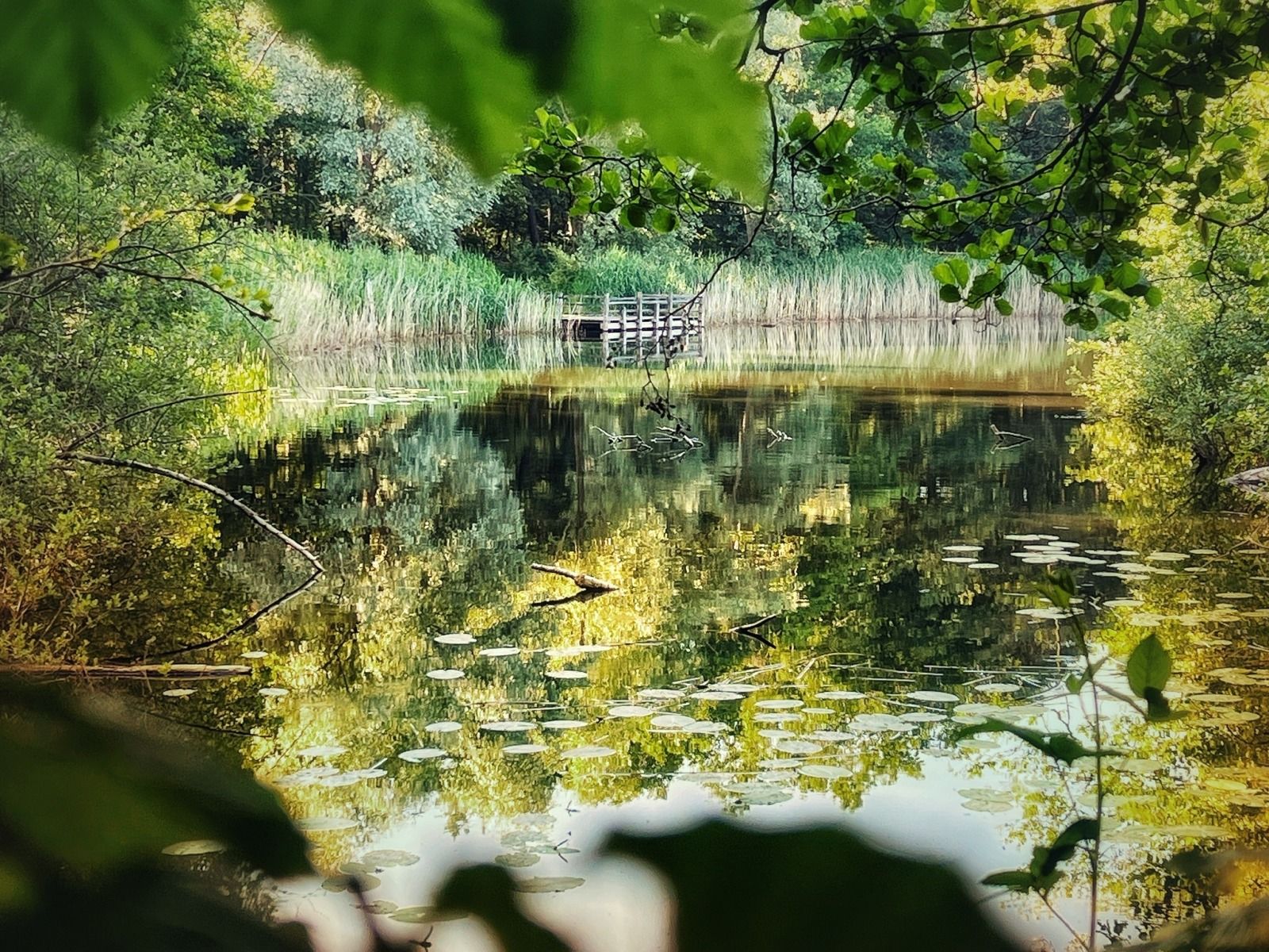 Guest house 433316 - Holiday property Noordoost Brabant - NB205