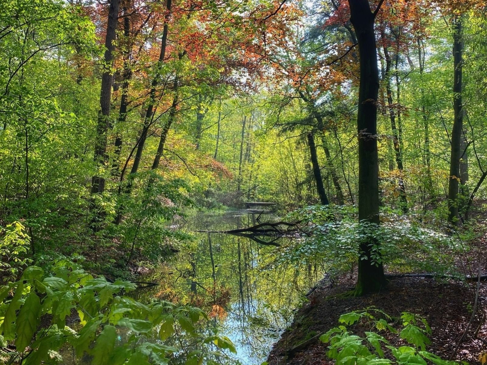 Guest house 433316 - Holiday property Noordoost Brabant - NB205