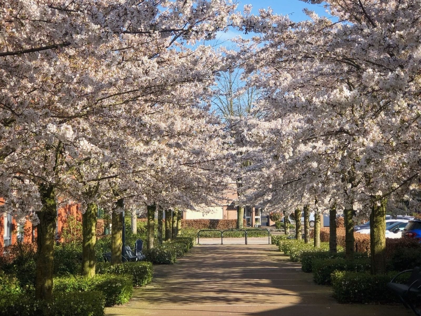 Guest house 433316 - Holiday property Noordoost Brabant - NB205