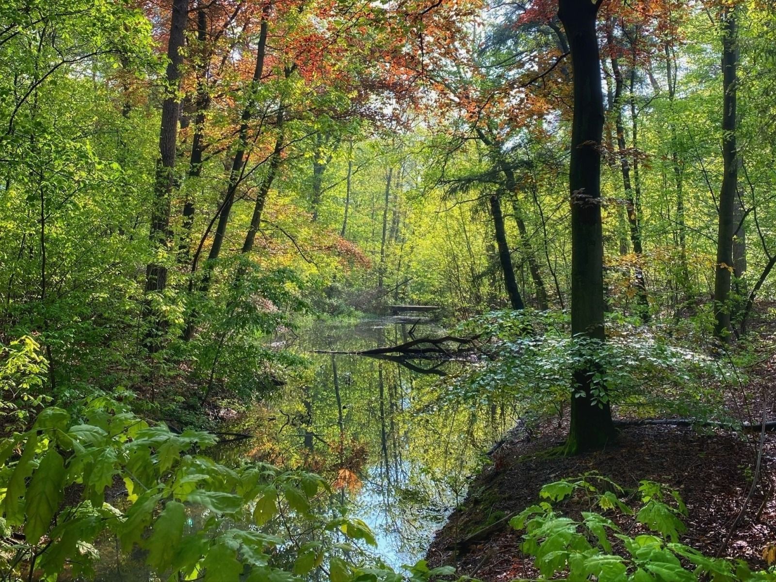 Guest house 433317 - Holiday property Noordoost Brabant - NB206