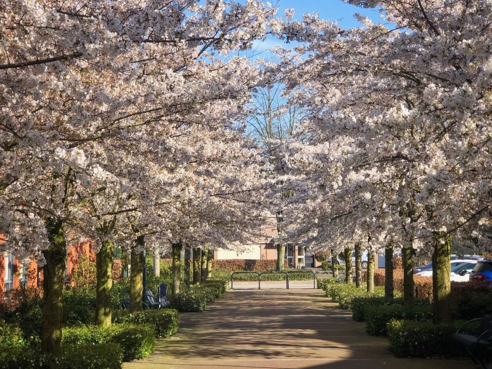 Guest house 433317 - Holiday property Noordoost Brabant - NB206