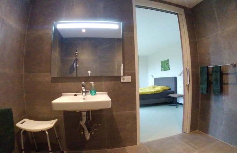 Badkamer in Vakantiehuis in Erp, Noord Brabant, met ruime wastafel en spiegel.