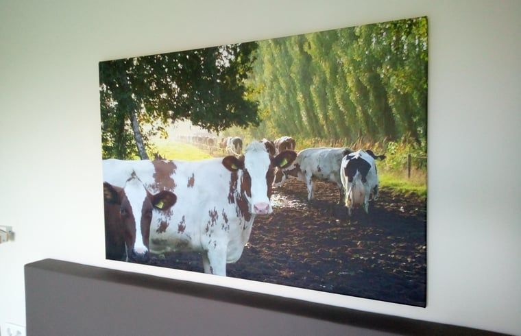 Wanddecoratie met koeien in Vakantiehuis in Erp, Noord Brabant, landelijke sfeer.