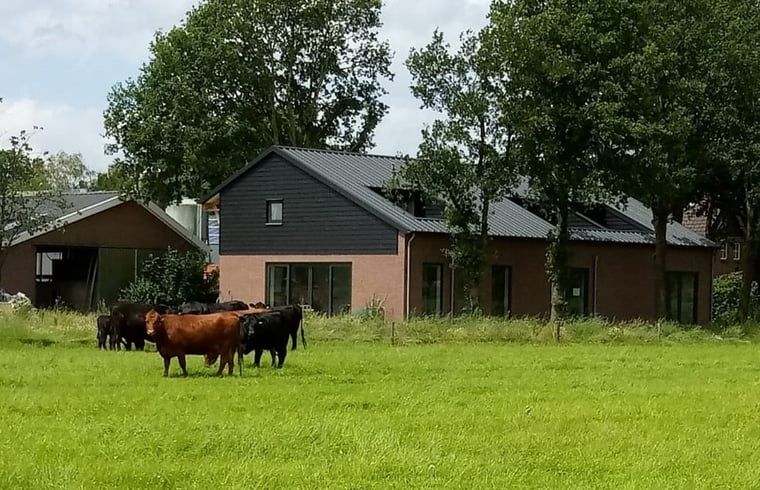 Unterkunft 433716 - Ferienhaus Noordoost Brabant - Vakantiehuis in Erp