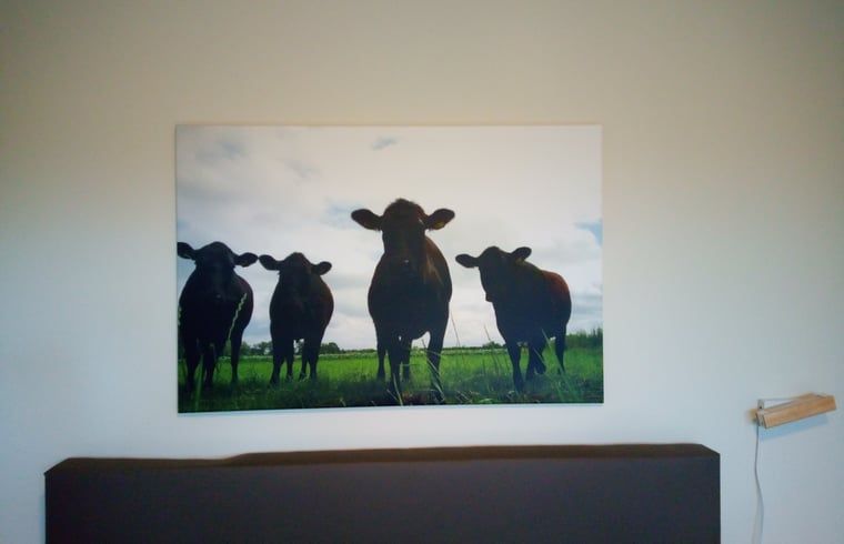 Unterkunft 433716 - Ferienhaus Noordoost Brabant - Vakantiehuis in Erp