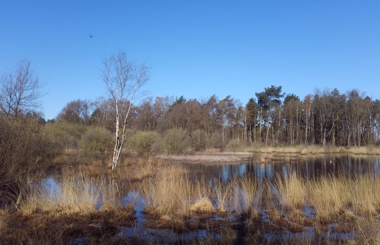 Unterkunft 433716 - Ferienhaus Noordoost Brabant - Vakantiehuis in Erp