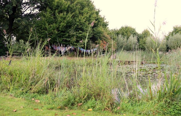 Guest house 433728 - Holiday property Noordoost Brabant - Vakantiehuisje in Erp