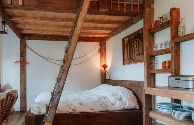 Decoratieve bloemen in Huisje in Sint-Oedenrode, vakantiehuis Noord Brabant.