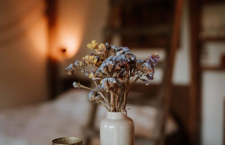 Buitenterras met zitgelegenheid bij Huisje in Sint-Oedenrode, vakantiewoning Noordoost Brabant.