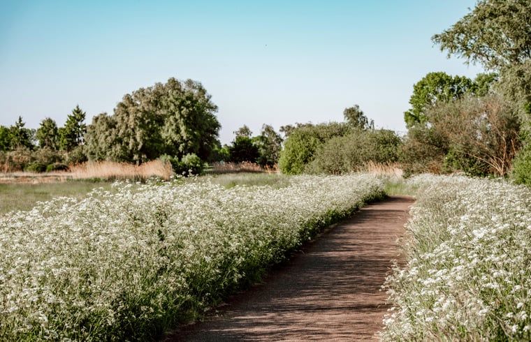 Rustiek vakantiehuis in Sint-Oedenrode, Noordoost Brabant, omgeven door groene natuur en landelijke charme.