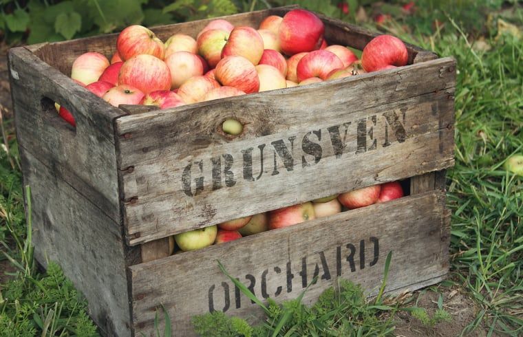 Guest house 435304 - Holiday property Noordoost Brabant - Vakantiehuisje in Huisseling