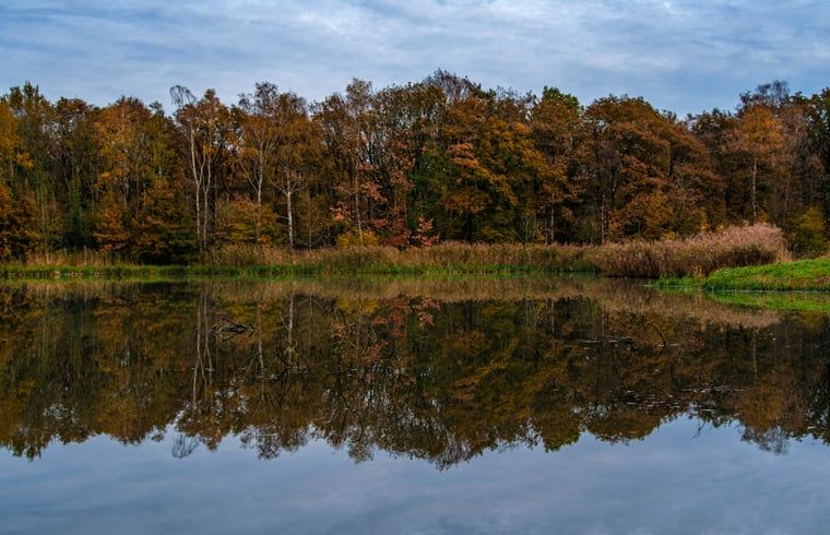 Guest house 435304 - Holiday property Noordoost Brabant - Vakantiehuisje in Huisseling