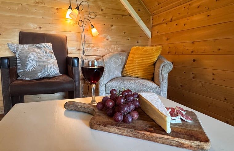 Knusse zithoek in Huisje in Vortum Mullem, vakantieverblijf in Vortum-Mullem, Noord-Brabant, met wijn en kaasplank.