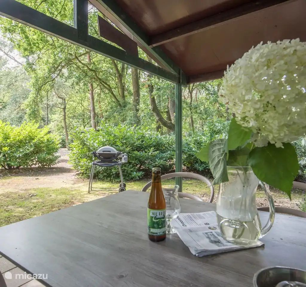 Guest house 436033 - Bungalow Noordoost Brabant - Specht