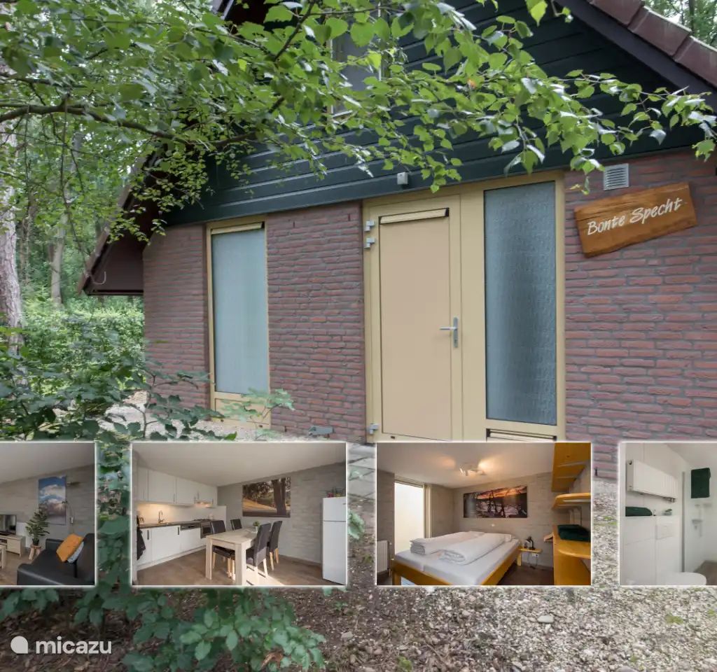 Guest house 436034 - Bungalow Noordoost Brabant - Bonte Specht