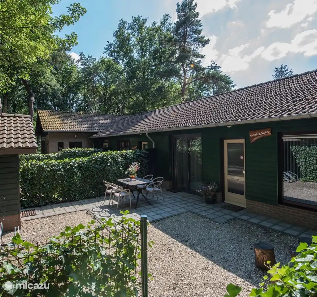 Guest house 436035 - Bungalow Noordoost Brabant - Knobbelzwaan