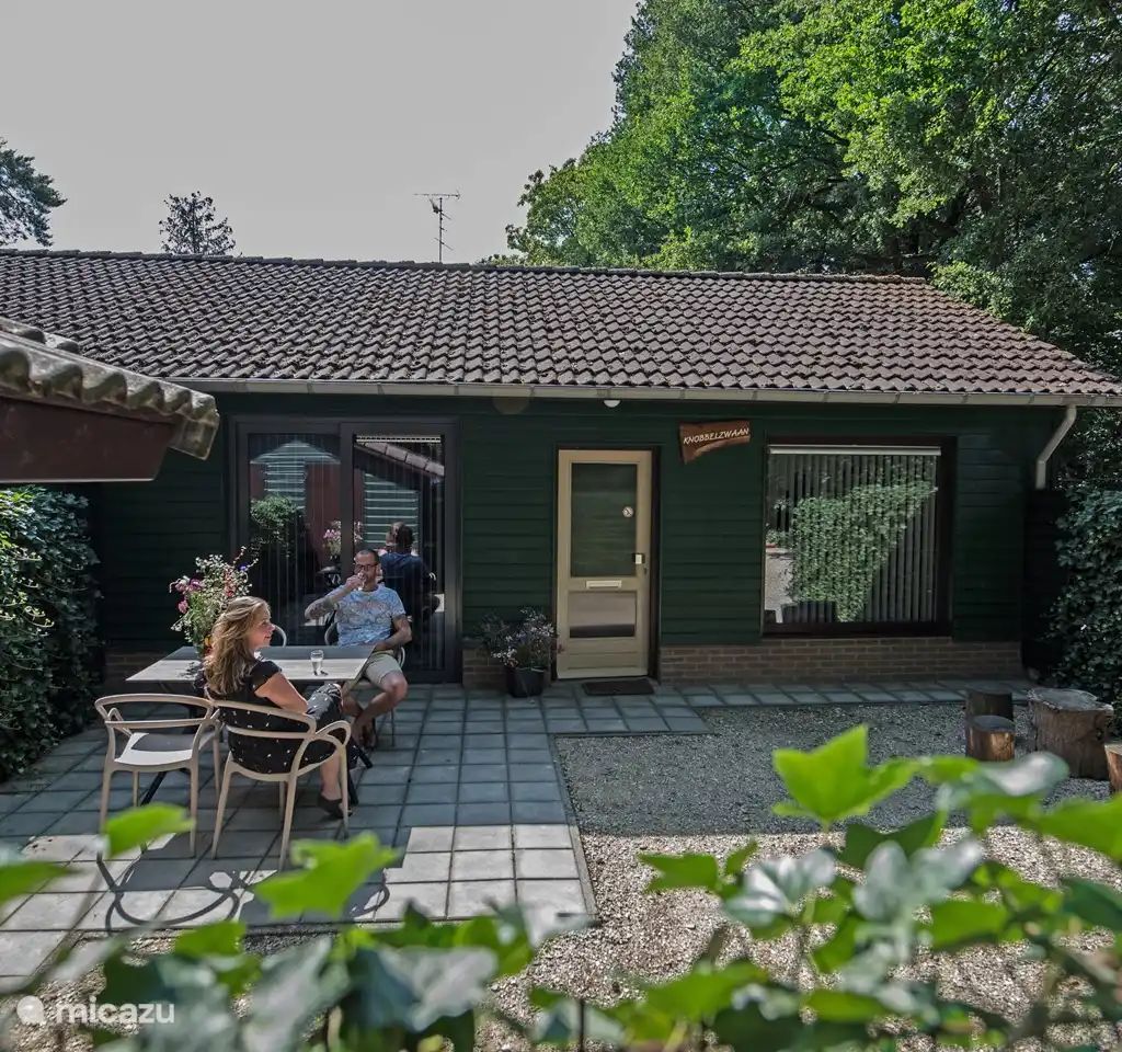 Guest house 436035 - Bungalow Noordoost Brabant - Knobbelzwaan