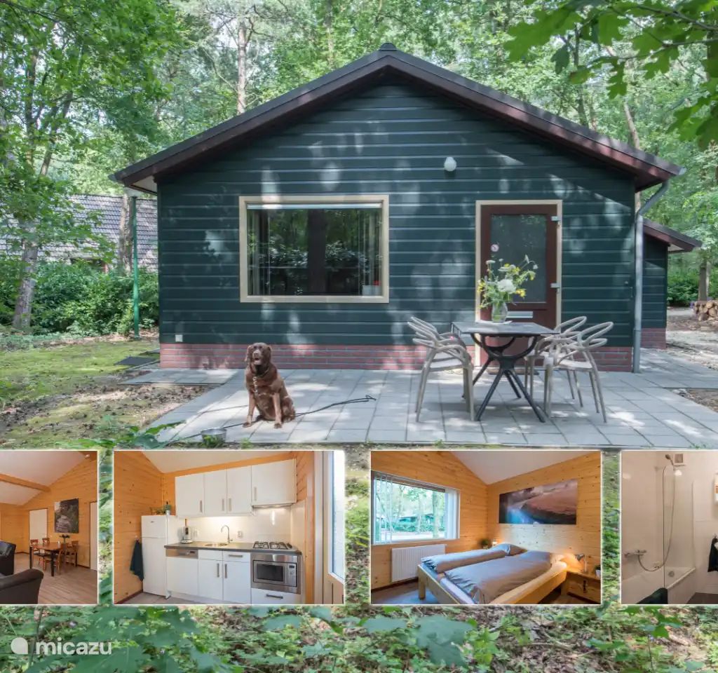 Verblijf 436046 - Bungalow Noordoost Brabant - Blauwe Pauw