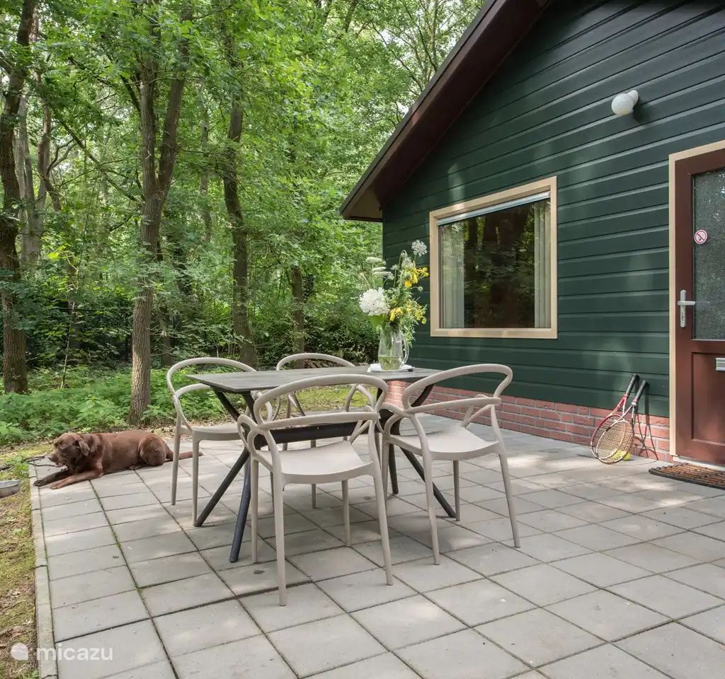 Verblijf 436046 - Bungalow Noordoost Brabant - Blauwe Pauw