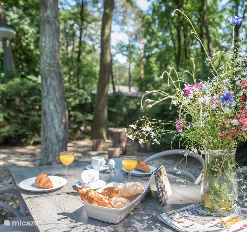 Verblijf 436048 - Bungalow Noordoost Brabant - Roodhalsgans