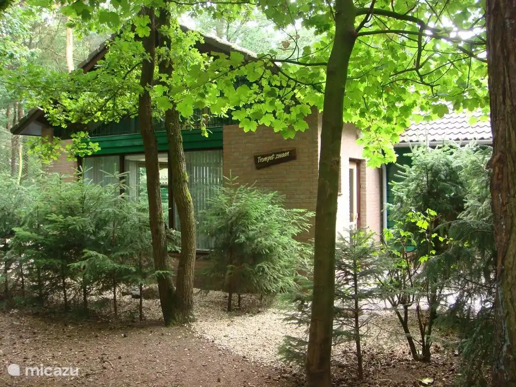 Verblijf 436052 - Vakantiewoning Noordoost Brabant - Trompetzwaan