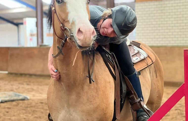 Guest house 436403 - Holiday property Noordoost Brabant - Vakantiehuis in Ledeacker