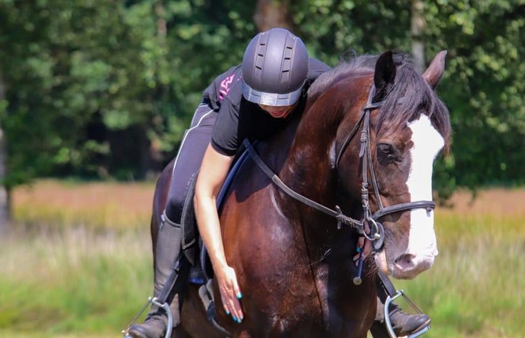 Guest house 436403 - Holiday property Noordoost Brabant - Vakantiehuis in Ledeacker