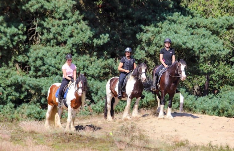 Guest house 436403 - Holiday property Noordoost Brabant - Vakantiehuis in Ledeacker