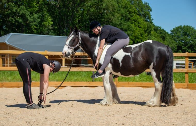 Guest house 436403 - Holiday property Noordoost Brabant - Vakantiehuis in Ledeacker