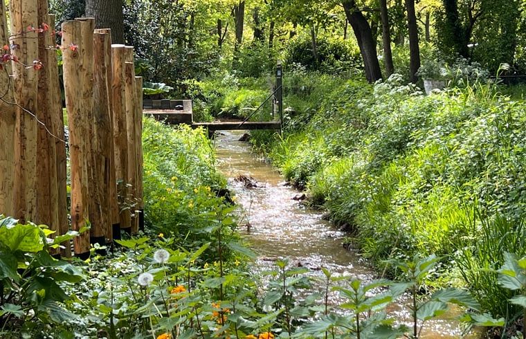 Guest house 436403 - Holiday property Noordoost Brabant - Vakantiehuis in Ledeacker