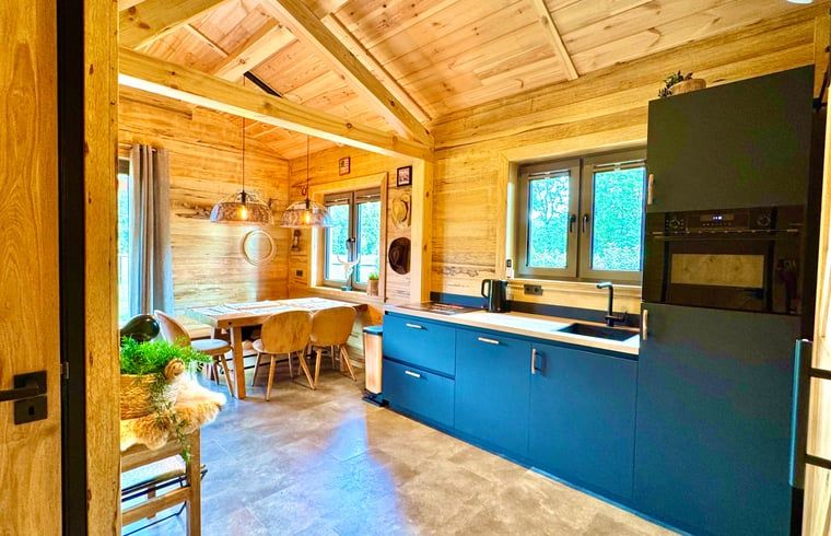 Cozy kitchen and dining area in Holiday Home in Ledeacker, Northeast Brabant with wooden interior and modern amenities.