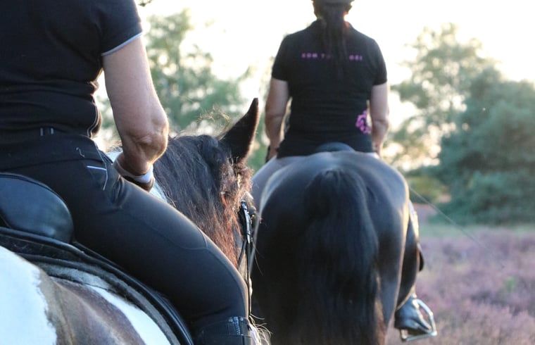 Guest house 436404 - Holiday property Noordoost Brabant - Vakantiehuisje in Ledeacker