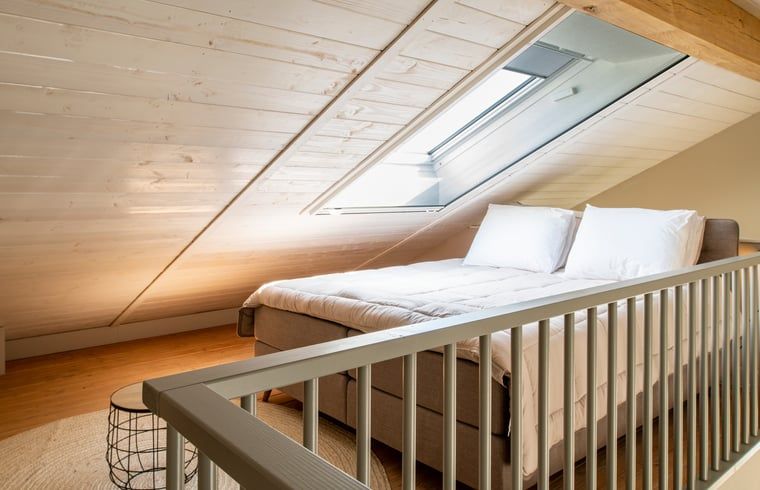 Attic room in Holiday Home in Sint Agatha, Northeast Brabant with skylight for natural light.