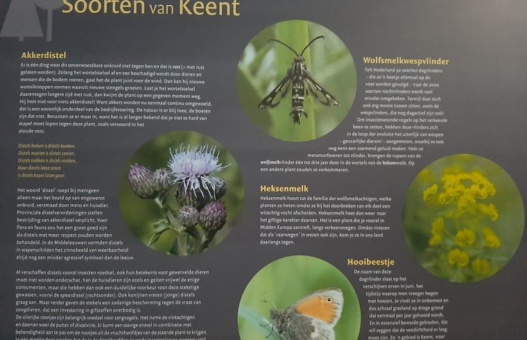 Verblijf 436801 - Vakantiewoning Noordoost Brabant - Vakantiehuisje in Keent