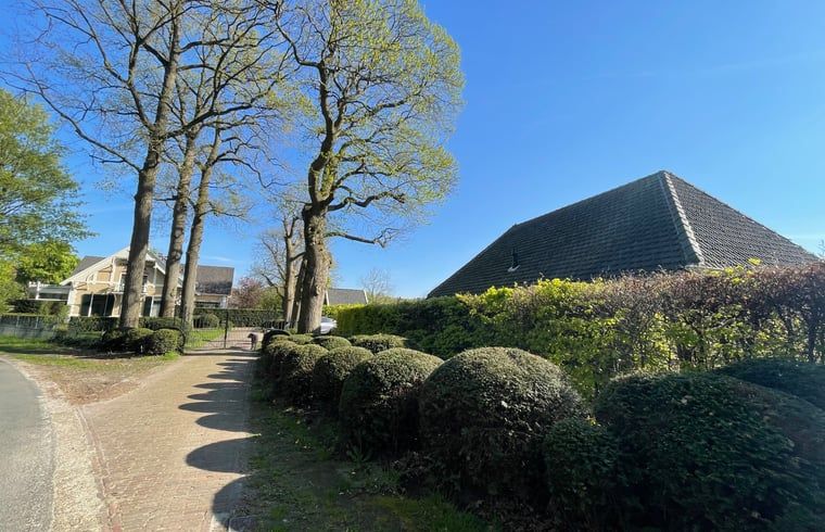 Omgeving van Vakantiehuisje in Breda met groene lanen en bomen.