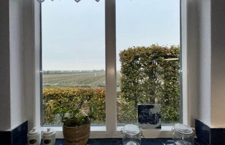 Uitzicht vanuit Vakantiehuisje in Ossendrecht op de landelijke omgeving.