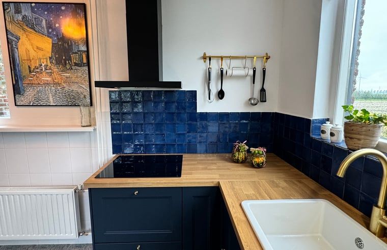 Moderne keuken in Vakantiehuisje in Ossendrecht met blauwe tegels.