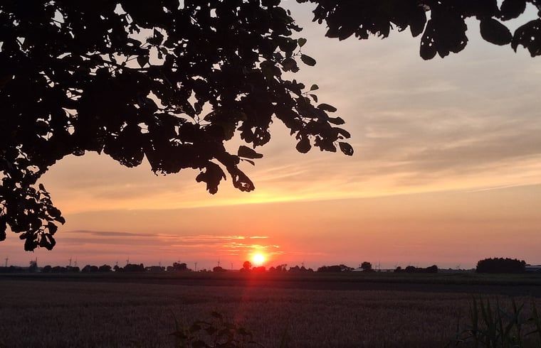 Adembenemende zonsondergang bij Vakantiehuisje in Ossendrecht, Noord Brabant.