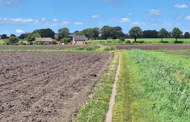 Landelijke omgeving rond Vakantiehuisje in Ossendrecht, Noord Brabant.