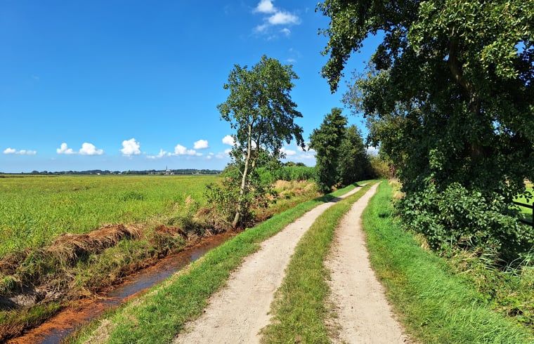Landelijke wandelpaden nabij Vakantiehuisje in Ossendrecht, Noord Brabant.