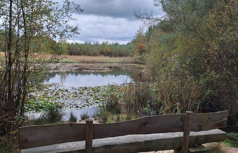 Rustiek meer in de buurt van Vakantiehuisje in Ossendrecht, Noord Brabant.