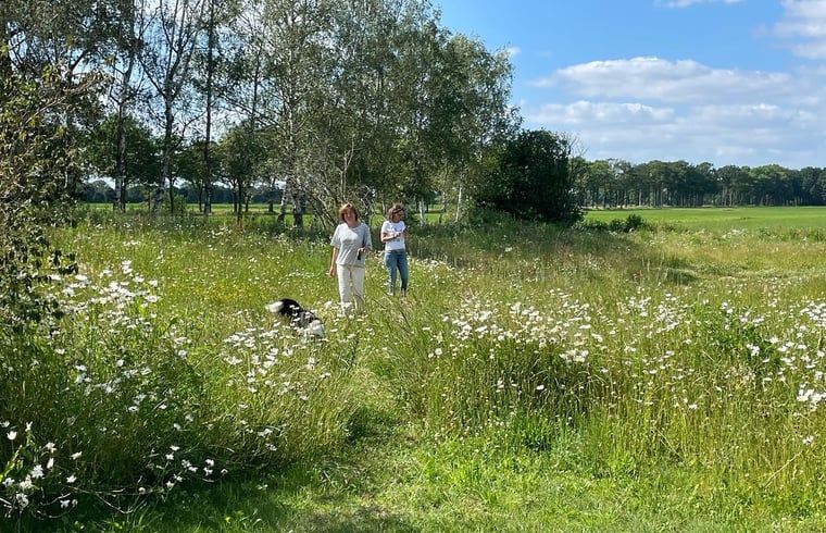 Unterkunft 441208 - Ferienhaus West Brabant - Vakantiehuisje in Gilze