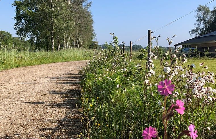 Unterkunft 441208 - Ferienhaus West Brabant - Vakantiehuisje in Gilze