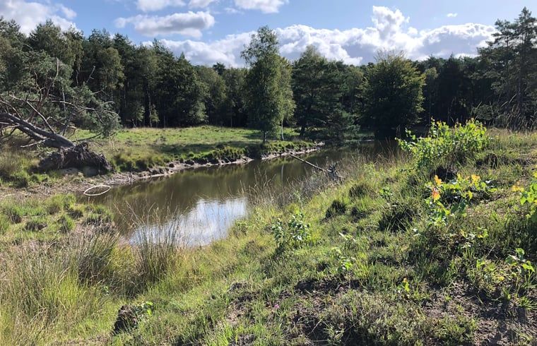 Unterkunft 441208 - Ferienhaus West Brabant - Vakantiehuisje in Gilze