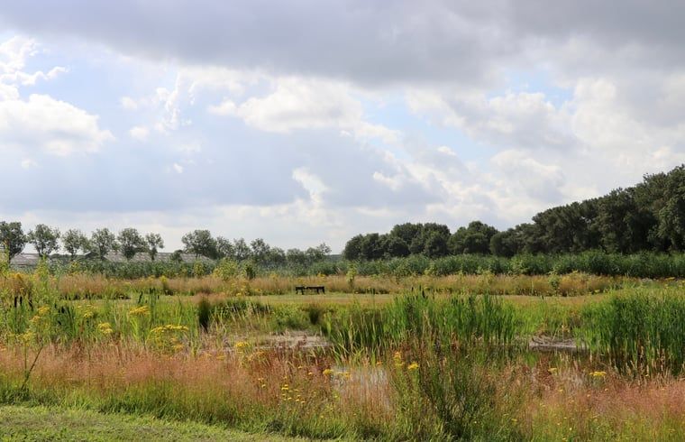 Unterkunft 441409 - Ferienhaus West Brabant - Huisje in Rucphen