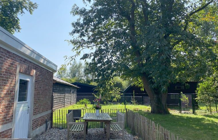 Rustikaler Garten des Cottage in Hoogerheide, Ferienhaus in Nordbrabant mit einem Holztisch unter einem grossen Baum.