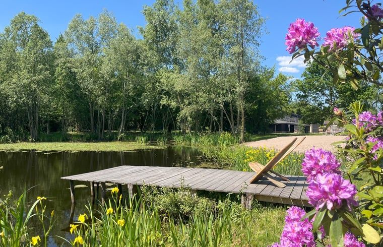 Schoener Blick vom Steg am Huisje in Hoogerheide, Ferienhaus in Hoogerheide, mit bunten Blumen.